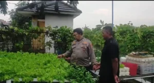 Polsek Gedangan Optimalkan Ketahanan Pangan Sayur Hidroponik di Desa Keboansikep
