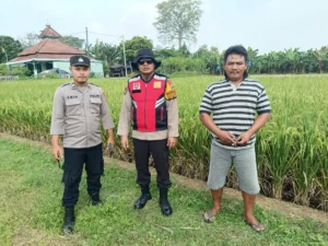 Polsek Balongbendo Dukung Ketahanan Pangan, Dialogis Petani Desa Singkalan