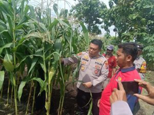 Polsek Porong Dukung Ketahanan Pangan