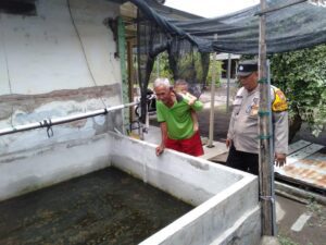 Polsek Tulangan Motivasi Program Ketahanan Pangan pada Budidaya Ikan Lele di Lahan Rumah Warga