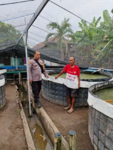 Manfaatkan Lahan Kosong, Polsek Porong Ajak Masyarakat Budidaya Lele