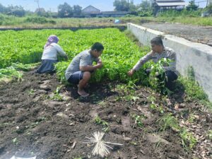 Ajak Warga Lestarikan Tanam Kangkung Polsek Porong Tinjau Ketahanan Pangan Bergizi