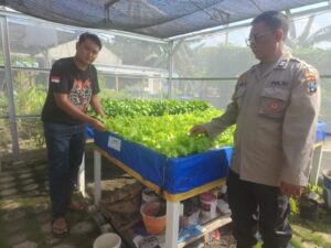 Polisi Tinjau Lahan Ketahanan Pangan Sayur Hidroponik Desa Tebel Gedangan