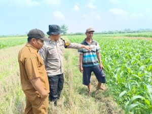 Polsek Balongbendo Sambangi Pekarangan Produktif di Desa Sumokembangsri