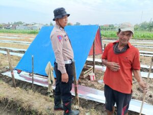 Polsek Balongbendo Kelola Ketahanan Pangan, Melalui Pendampingan Aktif Bhabinkamtibmas