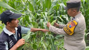 Bhabinkamtibmas Desa Bakung Temenggungan Masifkan Program Ketahanan Pangan Polresta Sidoarjo