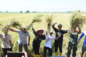 Hampir Gagal Panen, Pemkab Sidoarjo Bantu Pompa Air Pertanian Desa Bakung Temenggungan