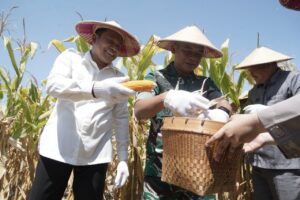 Sinergi Bupati dan Kapolresta Sidoarjo Sukseskan Panen Raya Jagung Program Polri Kuartal III 2025