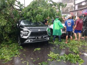 Tiga Mobil Ringsek Tertimba Pohon di Buduran