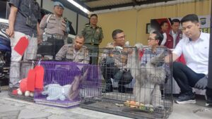 Bisnis Satwa Internasional Diungkap, Pelaku dari Sidoarjo Ditangkap