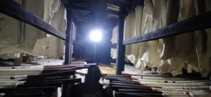 Jejak Warisan Kolonial di Perkebunan Karet