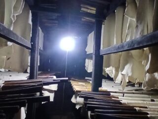 Jejak Warisan Kolonial di Perkebunan Karet