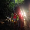 Pohon Tumbang Timpa Kontainer di Krian, Polisi dan Warga Gerak Cepat Lakukan Evakuasi