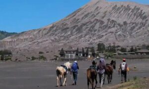 Long Weekend, Jalur Wisata Bromo via Probolinggo Sempat Padat 10 Menit