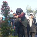 Sidoarjo Berbenah, Wabup Mimik Idayana Tanam Ratusan Pucuk Merah di Gading Fajar