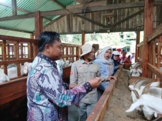 Desa Wisata Pembelajaran Inovasi  peningkatan kunjungan dan keberlanjutan