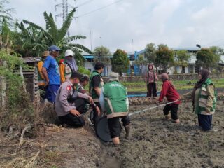 Kawal Modernisasi Tani di Sidoarjo, Polisi Cek Alat Tanam Padi Canggih