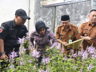 Kisah Nakes TNI di Sidoarjo Ubah Pekarangan Jadi Bisnis Herbal