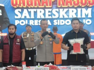 Kurir Penyelundup Benih Lobster Rp 4,6 M ke Singapura Dibekuk di Juanda