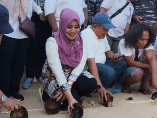 Ning Lia Lepas Tukik di Tanjung Penyu, “Ayo, Lautan Menunggumu”