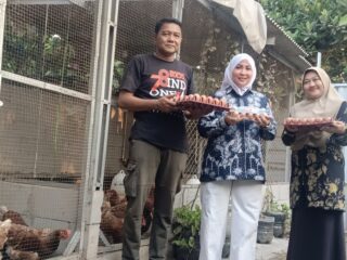 Modal Pokir DPRD Sidoarjo Berbuah Manis: Dari 16 Ayam Kini Tembus 70 Ekor