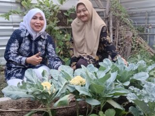 Vike Asroni Dorong Warga Sidoarjo Sulap Pekarangan Jadi Sumber Pangan