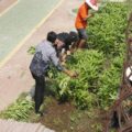 Lapas Sidoarjo Panen Kangkung, Warga Binaan Bekali Diri Keterampilan Pertanian