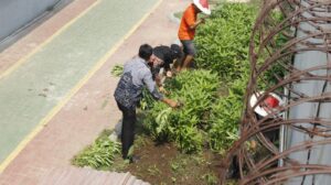 Lapas Sidoarjo Panen Kangkung, Warga Binaan Bekali Diri Keterampilan Pertanian