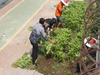 Lapas Sidoarjo Panen Kangkung, Warga Binaan Bekali Diri Keterampilan Pertanian