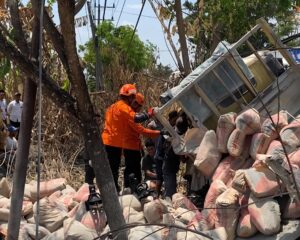 Detik-detik Evakuasi Dramatis Kernet Truk Terjepit Pohon di Bojonegoro